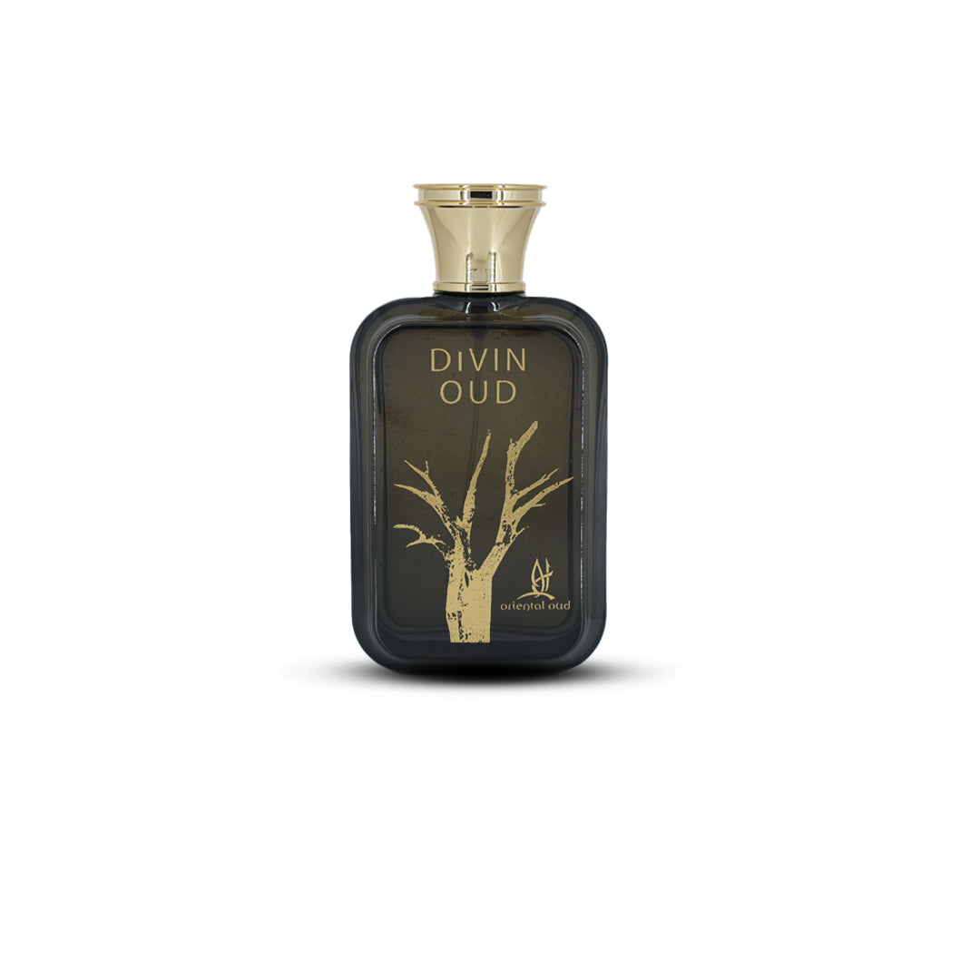 oriental-oud-divin-oud-edp-100ml