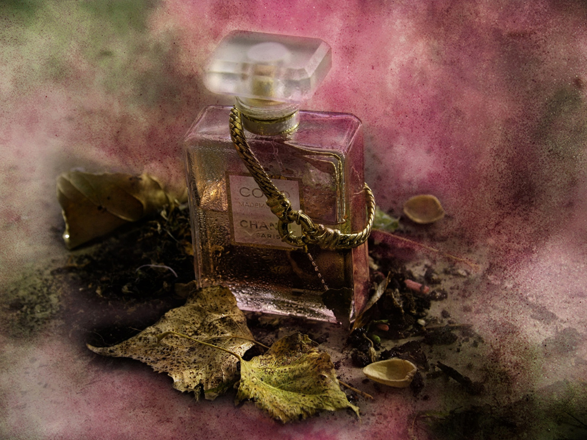 Top Perfume Brands in UAE