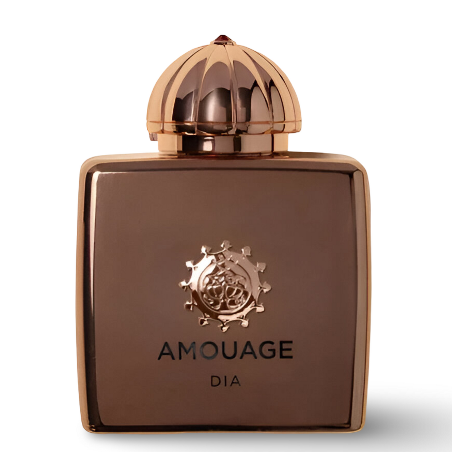 Amouage Dia For Women Eau de Parfum 100Ml (New)
