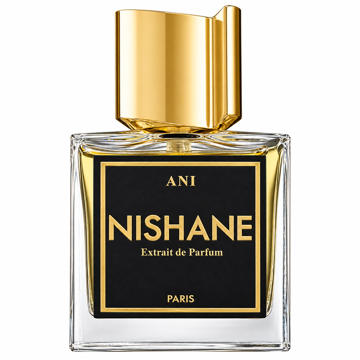 Nishane Ani Extrait De Parfum 100ml