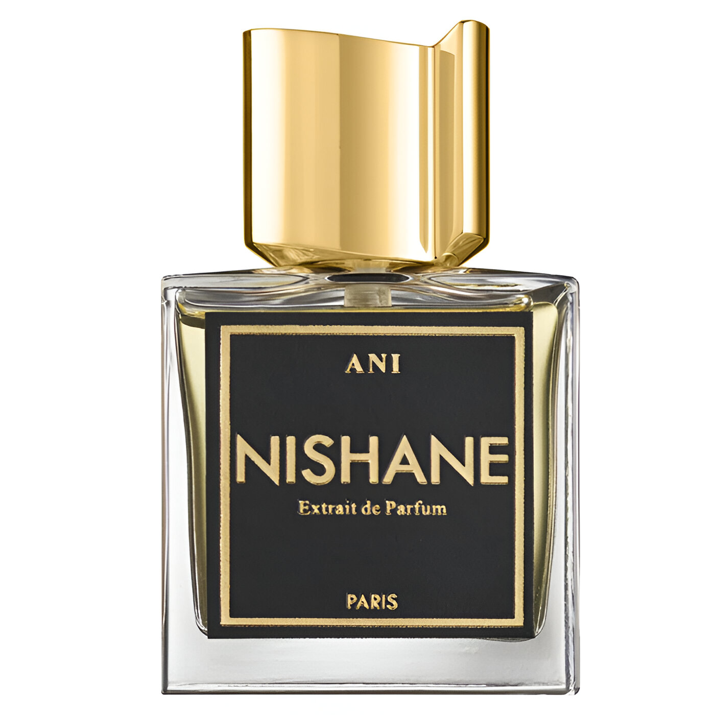 Nishane Ani Extrait De Parfum 100Ml