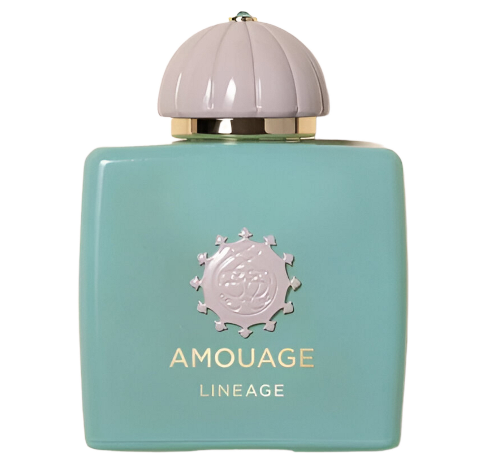 amouage-lineage-edp-m-100ml-new