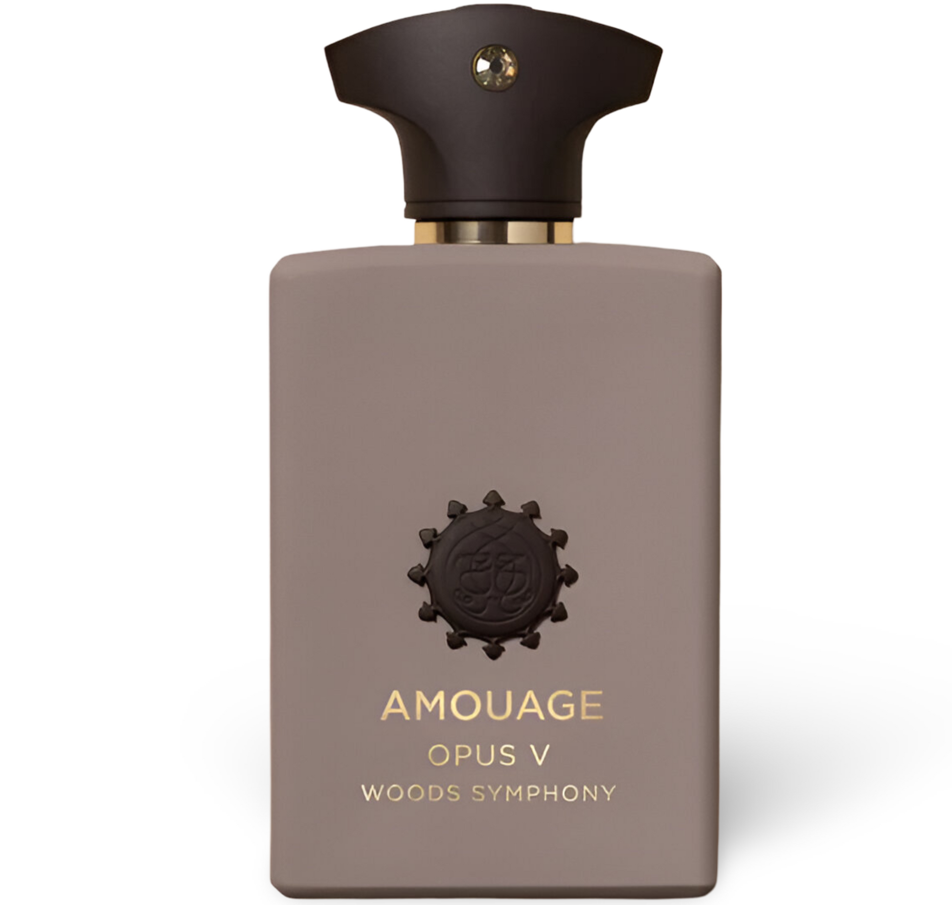 amouage-opus-v-woods-symphony-edp-100ml-new